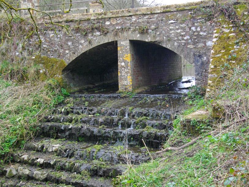 Otterford_Walk_1